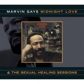 Marvin Gaye Sexual Healing (Alternate Vocal Mix)