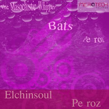 Elchinsoul The Masochistic Whipper