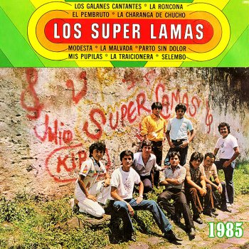 Los Super Lamas Selembo