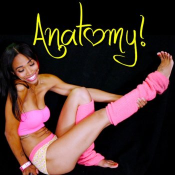 Destorm Anatomy