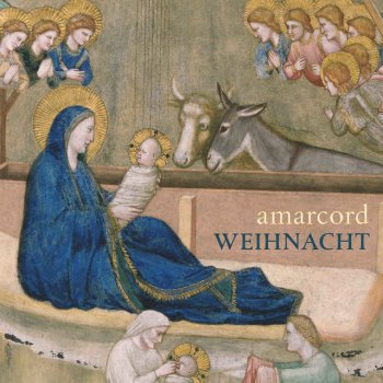 Amarcord Stille Nacht