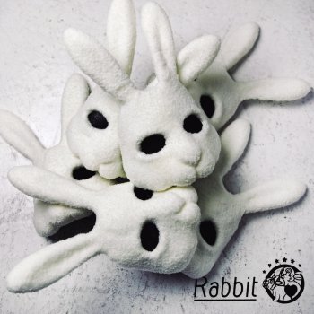 Rabbit HoloHolo