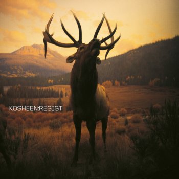 Kosheen Empty Skies - 2021 Remaster