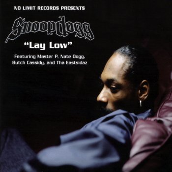 Snoop Dogg Lay Low - Instrumental