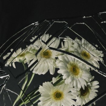 Lower Spectrum Proxima