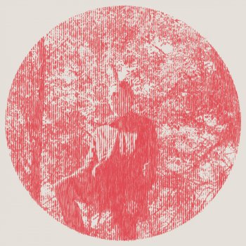Owen Pallett E Is For Estranged
