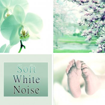 Baby Lullaby Festival Soft White Noise