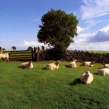 The KLF Rock Radio Into the Nineties and Beyond