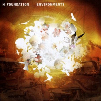 H-Foundation Environments