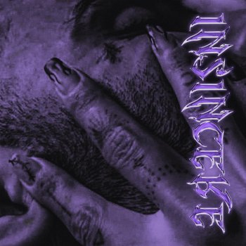 Dorcci Insincere