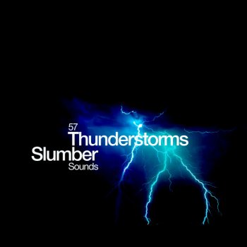 Thunderstorms Rain on Forest Floor
