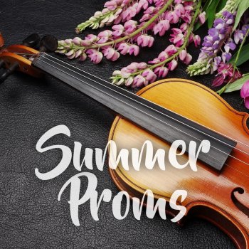 Andrew Davis feat. BBC Symphony Orchestra Salut d'amour, Op. 12