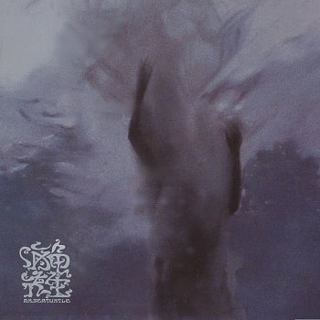 海龜先生 瑪卡瑞納