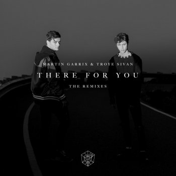 Martin Garrix & Troye Sivan There for You (Madison Mars Remix)