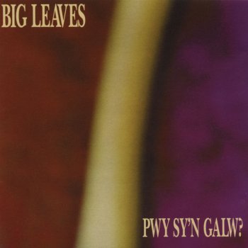 Big Leaves Seithenyn