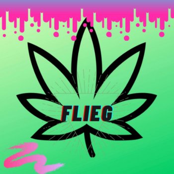 Corsas Flieg