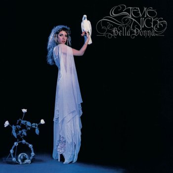 Stevie Nicks If You Were My Love