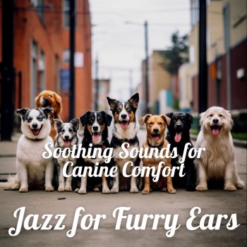 Dogs Jazz Cutest Dog