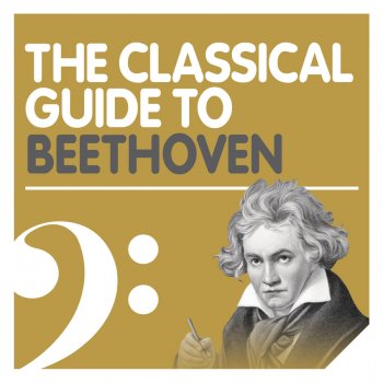 Ludwig van Beethoven, Nikolaus Harnoncourt & Chamber Orchestra of Europe Beethoven : Choral Fantasia in C minor Op.80 : II Finale [Excerpt]