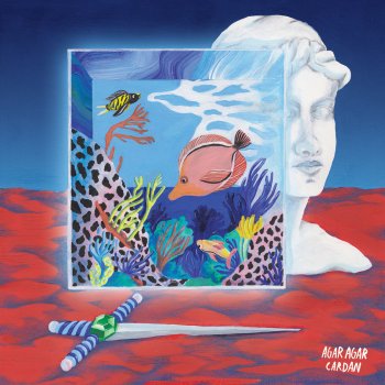 Agar Agar Aquarium