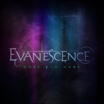 Evanescence What You Want