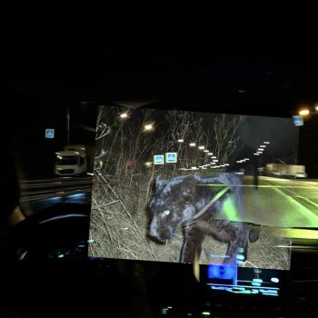 Исполнитель Zukovstheworld, альбом Bad Taste