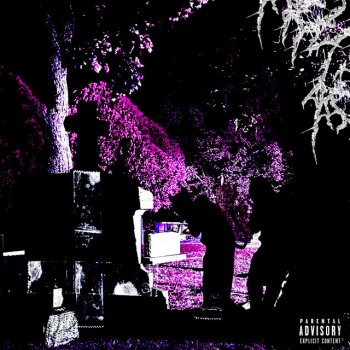 LVNE HiTekXD (feat. Kash & Benzo)