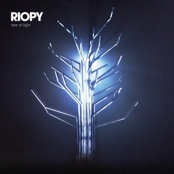 RIOPY Summer Night