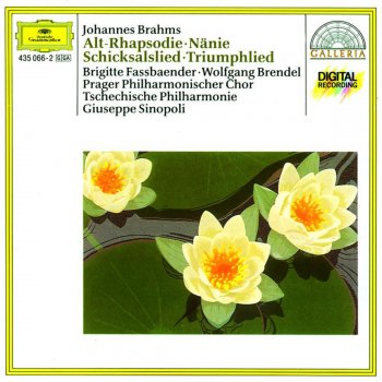 Czech Philharmonic Orchestra feat. Giuseppe Sinopoli & Prague Philharmonic Chorus Triumphlied Op. 55: I. Halleluja! Heil und Preis