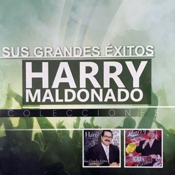 Harry Maldonado Camina