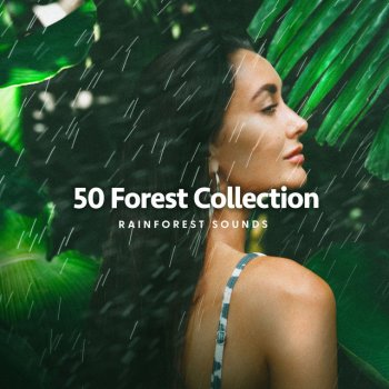 Rainforest Sounds Seashell Snow-Capped