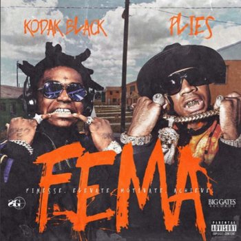 Kodak Black feat. Plies F.E.M.A