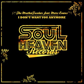 The Muthafunkaz feat. Marc Evans I Don't Want You Anymore - Dub