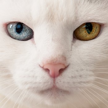 ケツメイシ Good morning