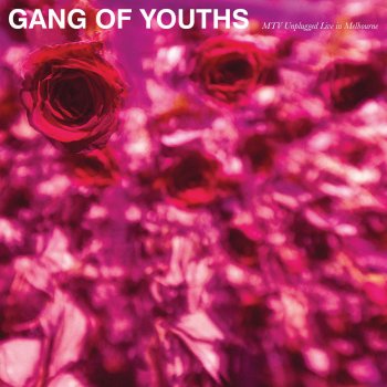 Gang of Youths Let Me Down Easy (Live)