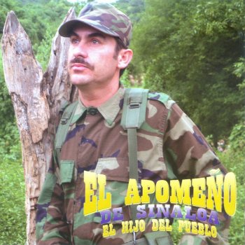 El Apomeño De Sinaloa La Burrita