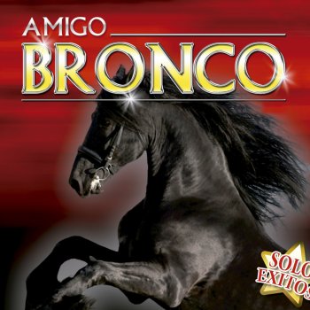 DCO Amigo Bronco