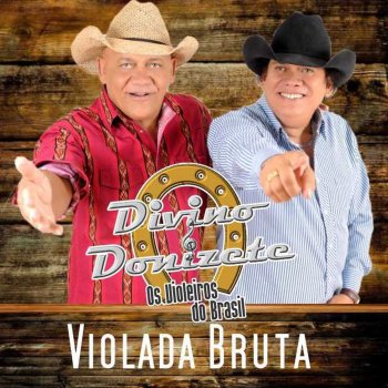 Divino & Donizete Saudade de Minha Terra / Fazenda São Francisco (Maior Proeza / 60 Dias Apaixonado / Franguinho na Panela