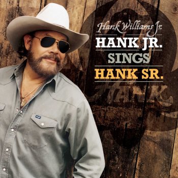 Hank Williams, Jr. Never Again (Will I Knock On Your Door)