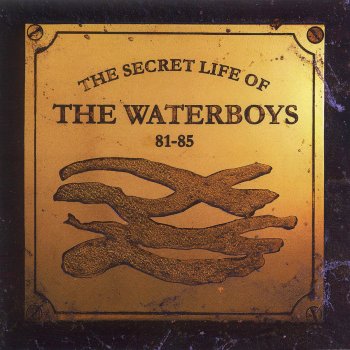 The Waterboys The Earth Only Endures