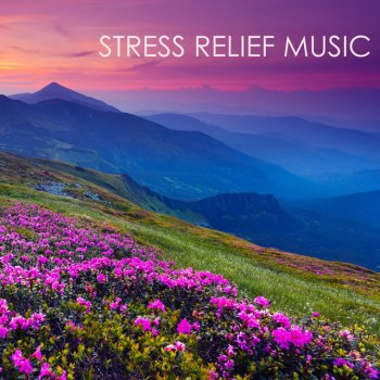 Stress Relief Good Mood