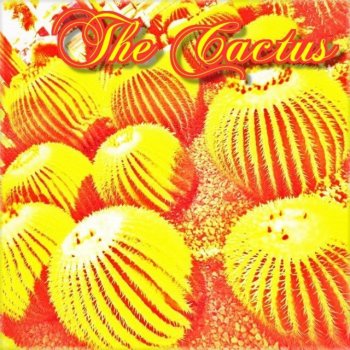 Cactus I'm Happy to See You