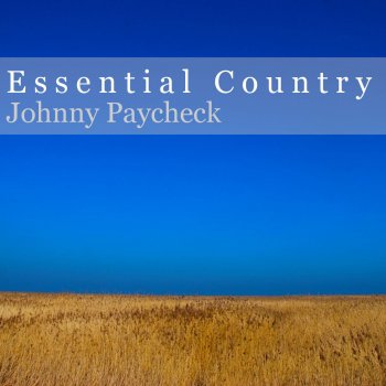 Johnny Paycheck Heartaches By the Numbers