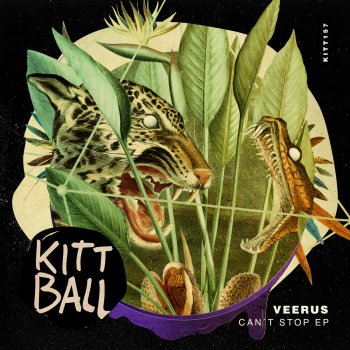 Veerus Can't Stop - Won't Stop