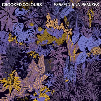 Crooked Colours Perfect Run (Nicky Night Time Late Night Dub)