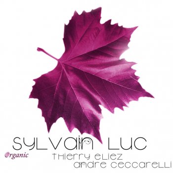 Sylvain Luc Minor Engmatic Blues