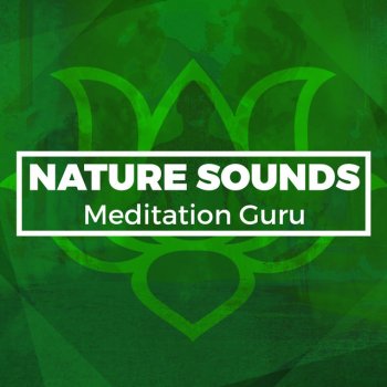 Nature Sounds Meditation Coppice Life