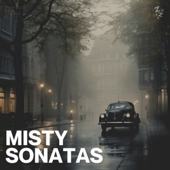 Исполнитель Rain Man Sounds, альбом Misty Sonatas