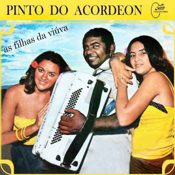 Pinto Do Acordeon Até o Sol Raiar