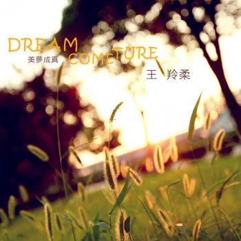 Исполнитель 王羚柔, альбом 美夢成真